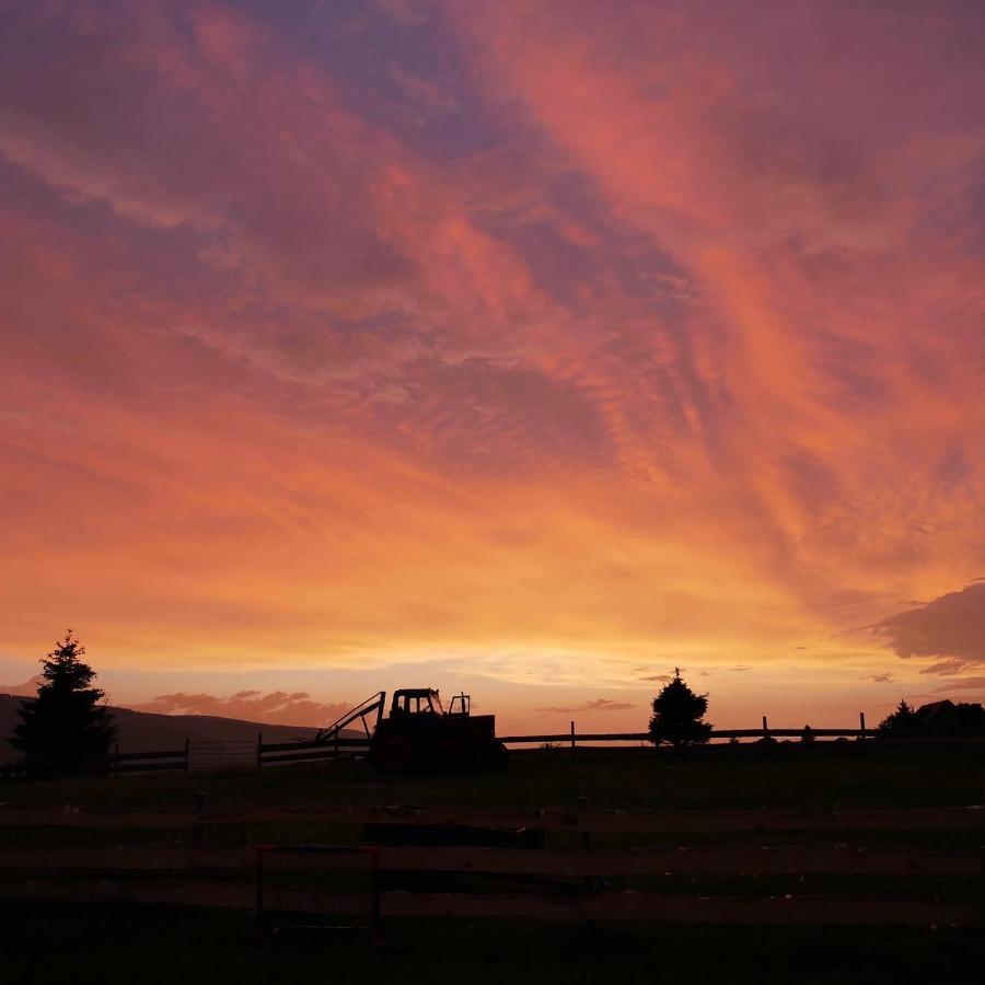 Wzgorze Owiec Sheep Hill Mostowice ภายนอก รูปภาพ