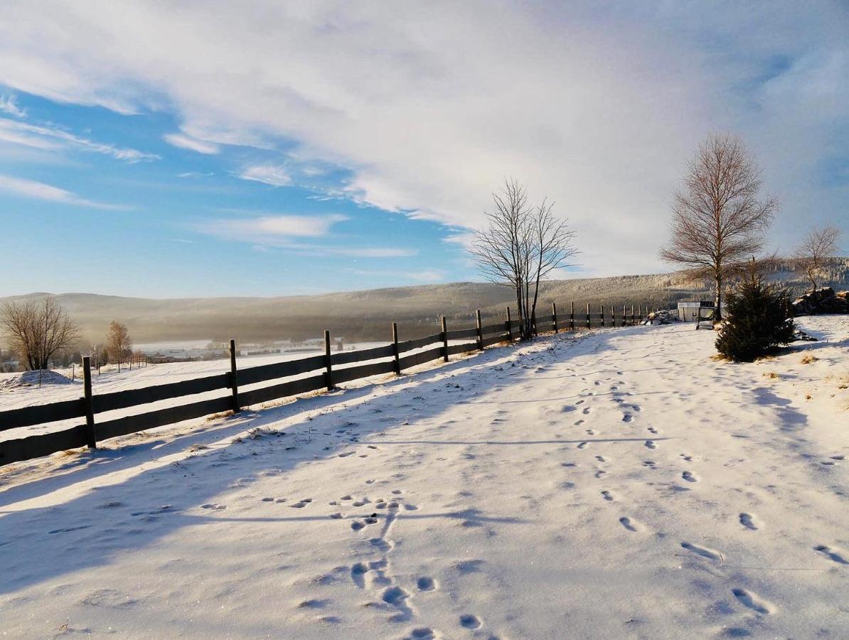 Wzgorze Owiec Sheep Hill Mostowice ภายนอก รูปภาพ