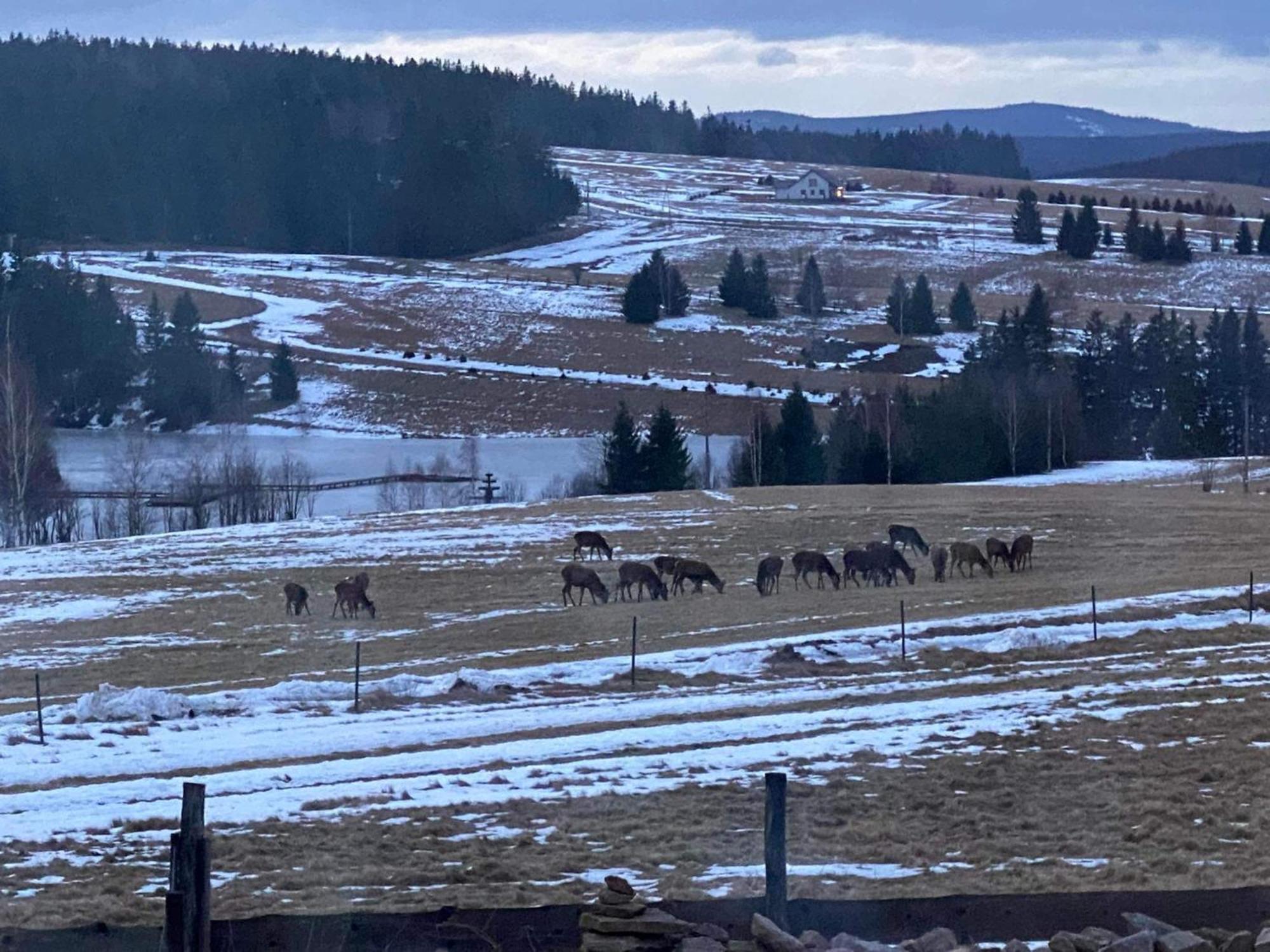 Wzgorze Owiec Sheep Hill Mostowice ภายนอก รูปภาพ